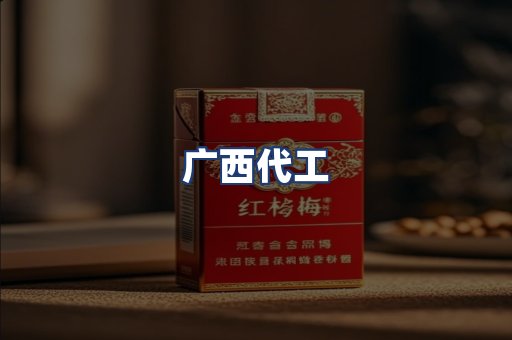 广西代工